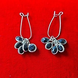 Black Onyx Dangle Earrings